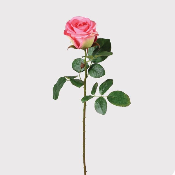 Pink Single Rose Stem