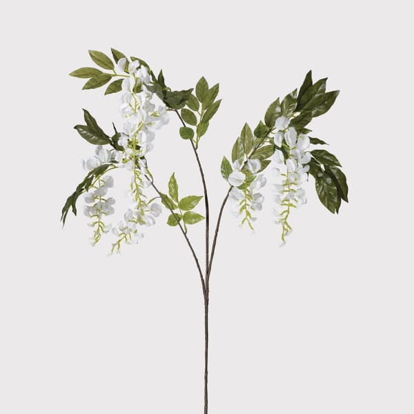 White Wisteria Branch with Leaves