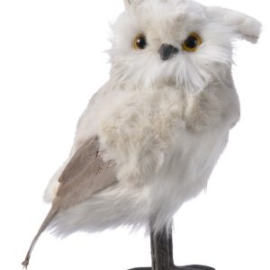 Snowy Feather Owl